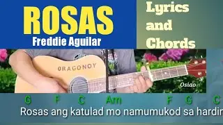 ROSAS (Freddie Aguilar) Acoustic Cover with Lyrics and Guitar Chords