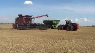 2016 Wheat Harvest - Alva Oklahoma
