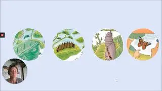 Kindergarten Literacy, Lesson 3