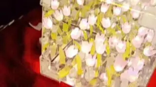 Beautiful mirror lamp 🪔🧨#meesho #tulip #mirrorlamp #decoration #festival #diy #gadgets #beutifull 