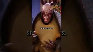 The Holiday Armadillo 🤣🤣 #Shorts #Friends