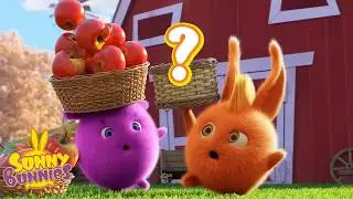 Will Big Boo Drop the Apples? | Sunny Bunnies Full Episodes