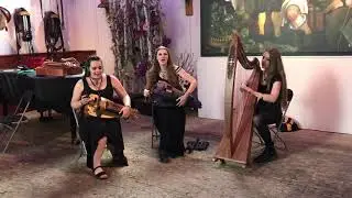 Castlefest 2019 - Brisinga  live 2 @ Instrumentenproeverij Draailier & Doedelzak in 'Het Koethuis'