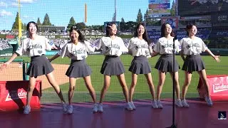 [승리 응원 직캠] SSG 치어리더 활기찬 응원! (허수미·임은비·이수진·이정윤·김현영·이지원 | 2025 SSG 랜더스필드)