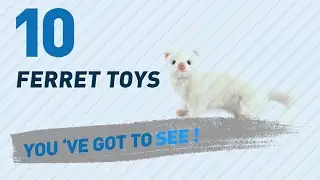 Ferret Toys, Uk Top 10 Collection // New & Popular 2017
