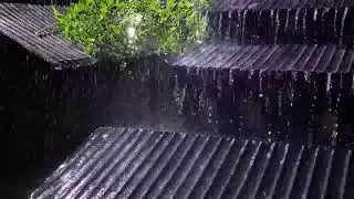 Powerful Shingle Rain on Old Tin Roof | Ultimate Sleep Instantly & Heavy Rain Sounds