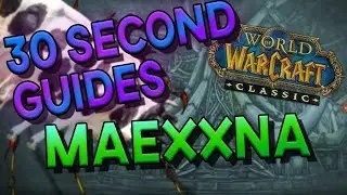 Maexxna - 30 Second Guides - Naxxramas