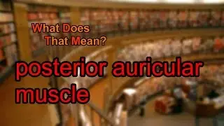 What does posterior auricular muscle mean?