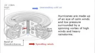 Animation-Hurricane Guide