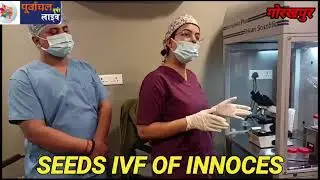 SEEDS IVF OF INNOCES