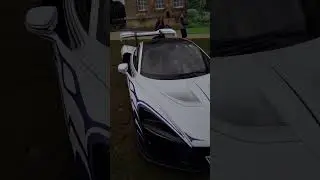 MSO Mclaren Senna 1 of 1😍