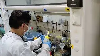 Metabolomics Services at AxisPharm