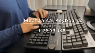 $170 vs $60 Mechanical Keyboards |1 Year Reviews| daskeyboard vs logitech