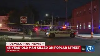 Video: New Haven police investigate city's 21st homicide