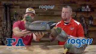 Final Approach Live Early Season Mallards