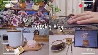 Weekend Vlog 2023 (Work from home, Room Decor & Expense Tracking)