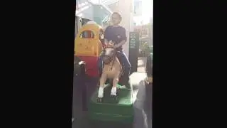 Kiddie Rides USA Sundance Horse Kiddie Ride