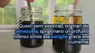 Erbe di Montagna Fave di Tonka Vasetto