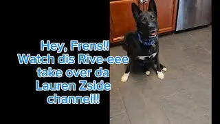 River takes over Lauren Zside's channel!! #LaurenZsideEdit5  #cute #funny #rescue #dog @LaurenZside 