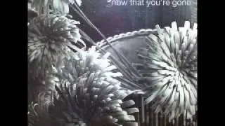 Ryan Adams - Now That You're Gone (7