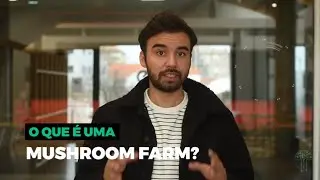 SHIMEJITO FAQS