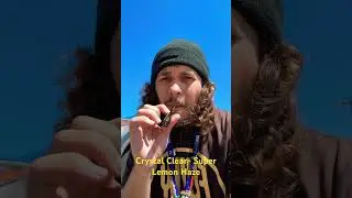 Crystal Clear- Super Lemon Haze