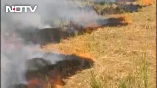 Stubble Burning Adds To Delhi Pollution, Blame Game Begins