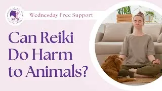 Can Reiki Do Harm to Animals?