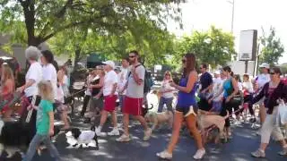 See Spot Walk