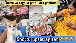 Chottu ku புதுசா cage வாங்கி இருக்கோம்😁‼️ ivan attakasam thangala pa😰 #comedy 