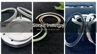 Metal Seals - High Performance Metal Seals, 30%+ cost off, Must See!