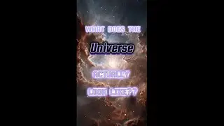 The Conscious Universe
