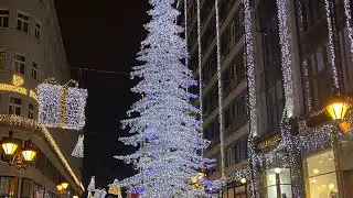 Будапешт Венгрия 24.12.2025