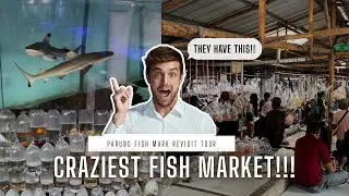 THIS PLACE IS INDONESIA&rsquo;S FISHKEEPER HIDDEN GEM!!!!&hellip;.(Parung fish market revisit tour)