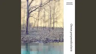G. perpendicularis III