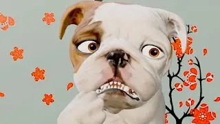 Animation shorts: Margo and Bun (DOG CARTOON FILM) | Animated short film