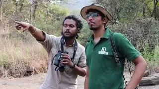BIRDING IN MUMBAI