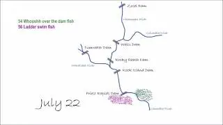 Whooshh Selective Fish Passage - How it Works