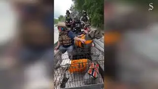 Animal water rescues: Man, dogs, armadillo pulled from water amid Texas flooding