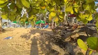 Playa Popy Dominican Republic 2022 November
