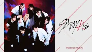 Stray Kids 