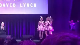 David Lynch Festival Disruption summary 2017