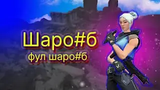 НЕ ШАРО#Б, А ПРОФЕССИОНАЛ