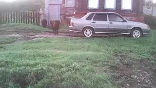 MOV0008A