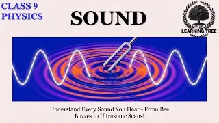 Sound Class 9 | Chapter Summary, Explanation in English | Science Physics Chapter 11