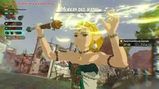 HYRULE WARRIORS La era del destierro 