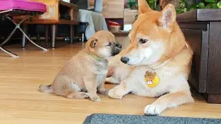 Cute moments between mom & daughter 