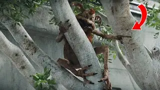 A lot of people missed this detail