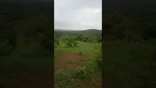 Lion 🦁 on surajkund road ,faridabad ||Kashvi Sharma Himachal India #ytshorts #kingofthejungle