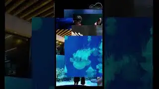 India&rsquo;s largest walk-through aquarium at VGP Marine Kingdom.  #vgpmarinekingdom